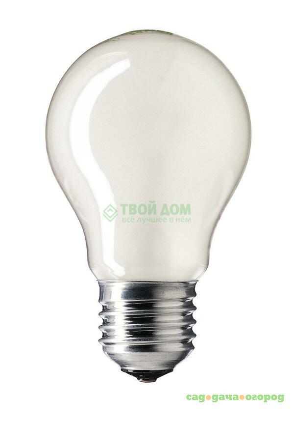 Фото Лампочка PHILIPS LAMPS Standard 40W E27 230V A55 FR 1CT