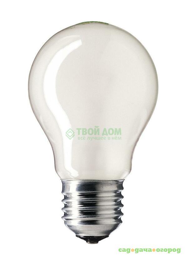 Фото Лампочка PHILIPS LAMPS Standard 75W E27 230V A55 FR 1CT