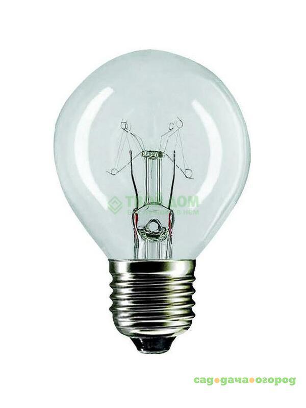 Фото Лампочка PHILIPS LAMPS Standard 40W E27 230V P45 CL 1CT