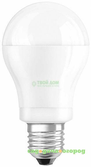 Фото Лампочка Osram A 60 10W 4000K E27