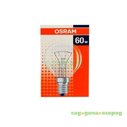 Фото Лампочка Osram  накал. шар 60w. e14. прозрач