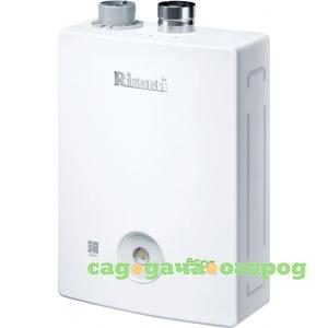 Фото Газовый котел rinnai br-r42 rnn-498900114