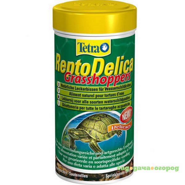 Фото Корм для черепах Tetra ReptoDelica Grasshopers 50 г