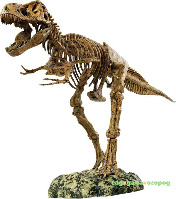 Фото Набор динозавтра Edu-toys T-rex 91 см