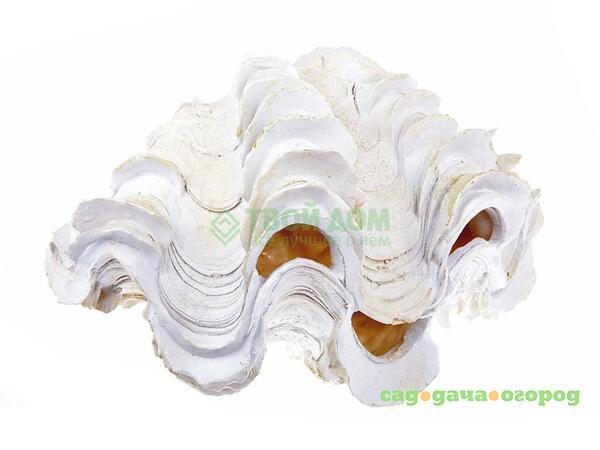 Фото Gamma GA2096AL