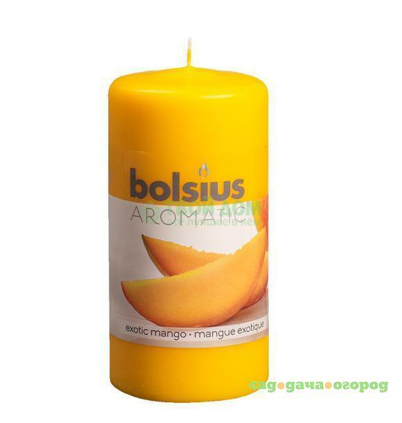 Фото Свеча Bolsius 120/60 цвет манго