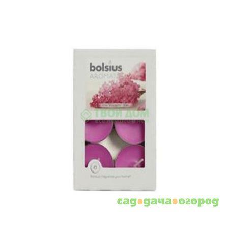 Фото Свеча Bolsius Чайные сирень