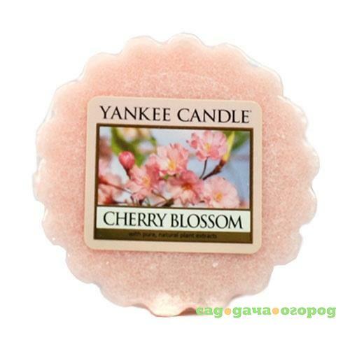 Фото Ароматарталетка Yankee Candle Цветение вишни (1542839E)