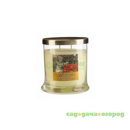 Фото Свеча Wax Lyrical Рождественская подарок средняя (WL8843)