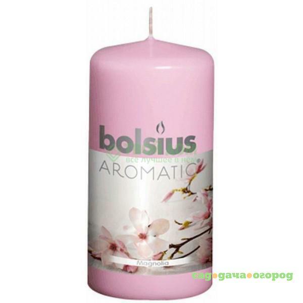 Фото Свеча Bolsius Магнолия 120/60