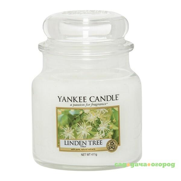 Фото Ароматическая свеча Yankee Candle Липа (1542831E)