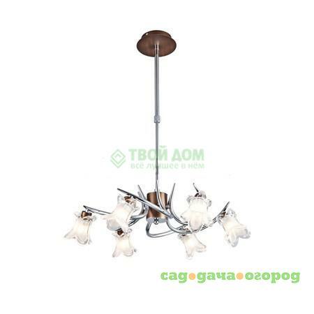 Фото Люстра подвесная Mb-Light Mb13022/5p