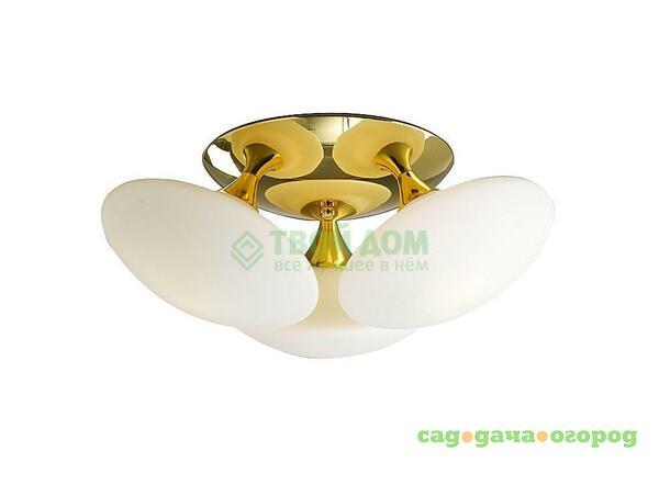 Фото Люстра потолочная LUCESOLARA Moderno 8001-3PL Gold-White