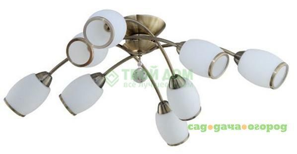 Фото Люстра потолочная IDLamp (804/8PF-Oldbronze)