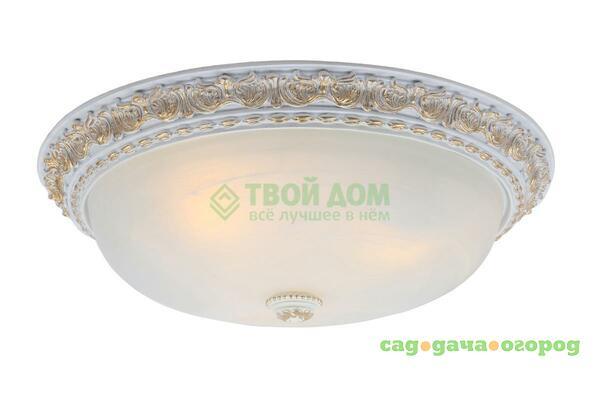 Фото Потолочный светильник Arte Lamp Torta (A7123PL-3WG)