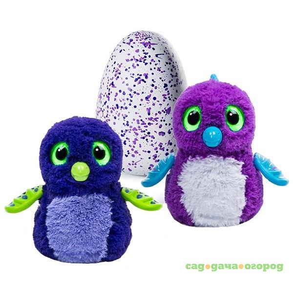 Фото Интерактивный питомец Hatchimals дракоша синий/фиолетовый