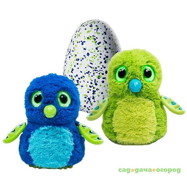 Фото Интерактивный питомец Hatchimals дракоша зеленый/голубой