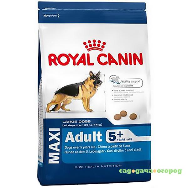 Фото Корм для собак Royal Canin Size Maxi Adult 5+ для крупных пород старше 5 лет, птица 15 кг