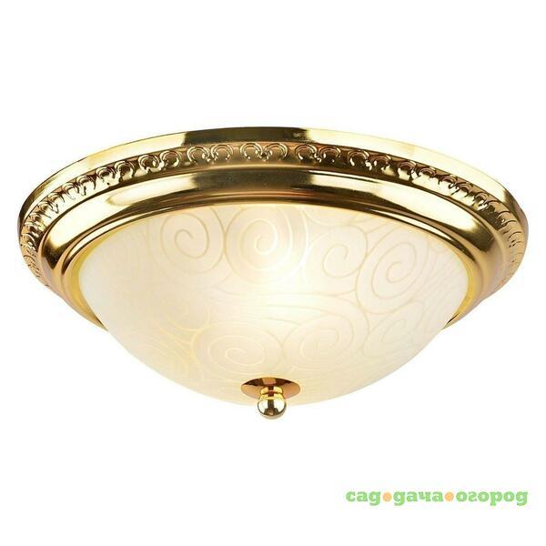 Фото Потолочный светильник Arte Lamp 28 A3013PL-2GO