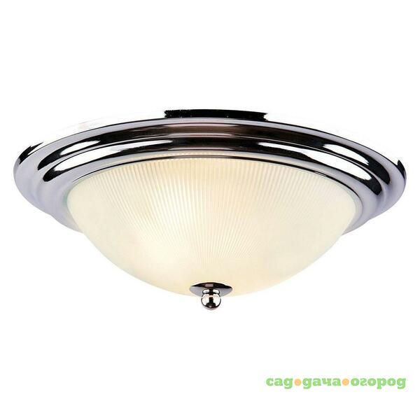 Фото Потолочный светильник Arte Lamp 28 A3012PL-2CC