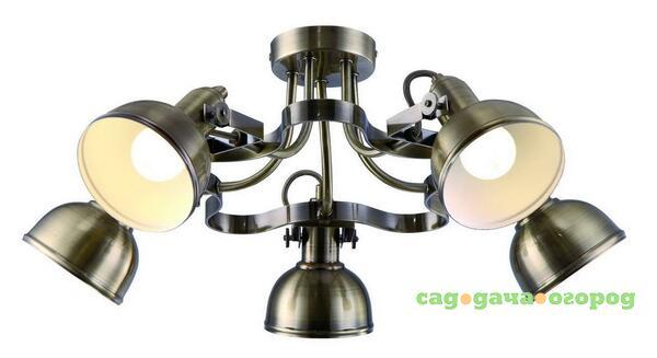 Фото Потолочная люстра Arte Lamp Martin A5216PL-5AB