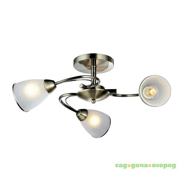 Фото Потолочная люстра Arte Lamp 3 A6056PL-3AB