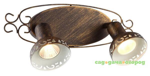 Фото Спот Arte Lamp Focus A5219AP-2BR