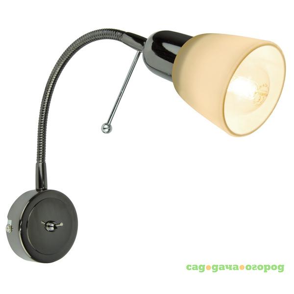 Фото Спот Arte Lamp Lettura A7009AP-1BC