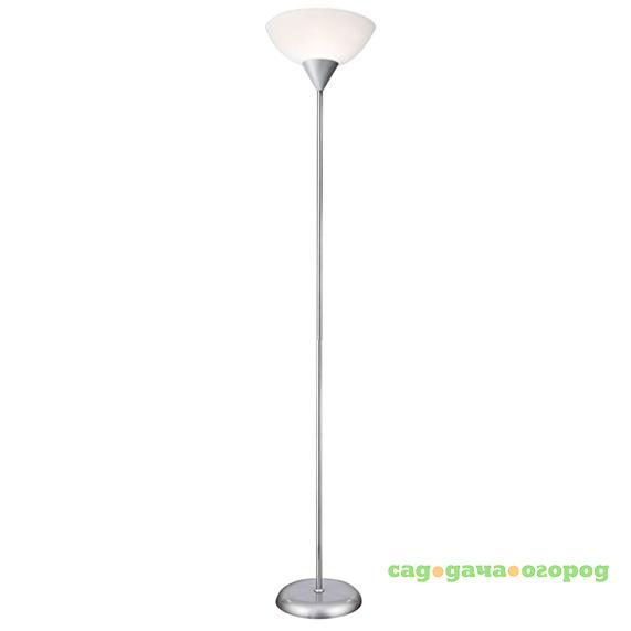 Фото Торшер Arte Lamp Duetto A9569PN-1SI