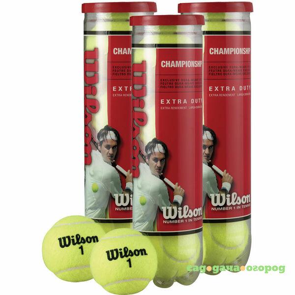 Фото Мяч теннисный 4 штуки в упаковке (WRT111000)