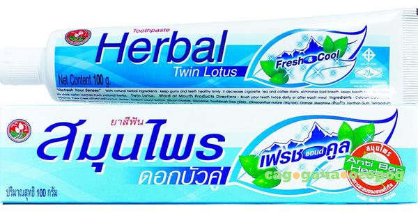 Фото Зубная паста Twin Lotus Herbal Fresh&Cool 100 гр