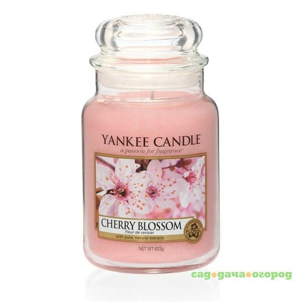 Фото Ароматическая свеча Yankee Candle Цветение вишни (1542836E)