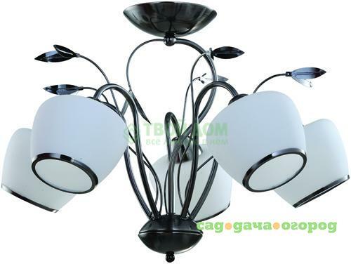 Фото Люстра потолочная IDLamp 825/5PF Darkchrome (825/5PF-DARKCHROME)