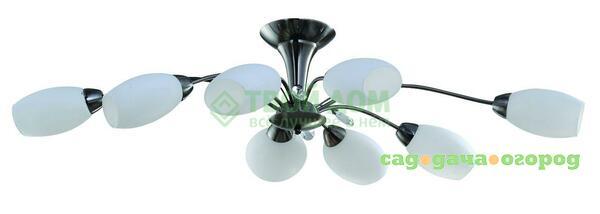 Фото Люстра потолочная IDLamp 830/8PF Darkchrome (830/8PF-DARKCHROME)