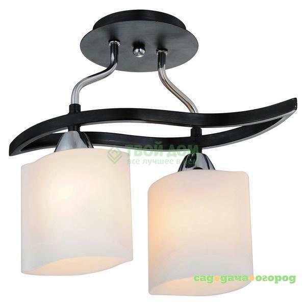 Фото Люстра потолочная IDLamp 859 2PF-Dark