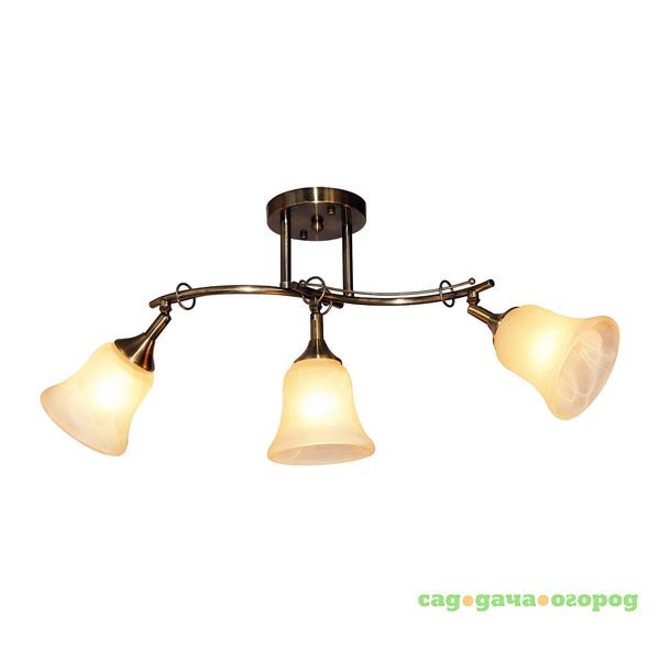 Фото Люстра потолочная IDLamp 851/3PF-OLDBRONZE