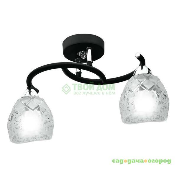 Фото Потолочный светильник IDLamp 381/2PF-Blackchrome