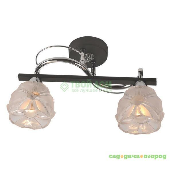 Фото Потолочный светильник IDLamp 218/2PF-Blackchrome