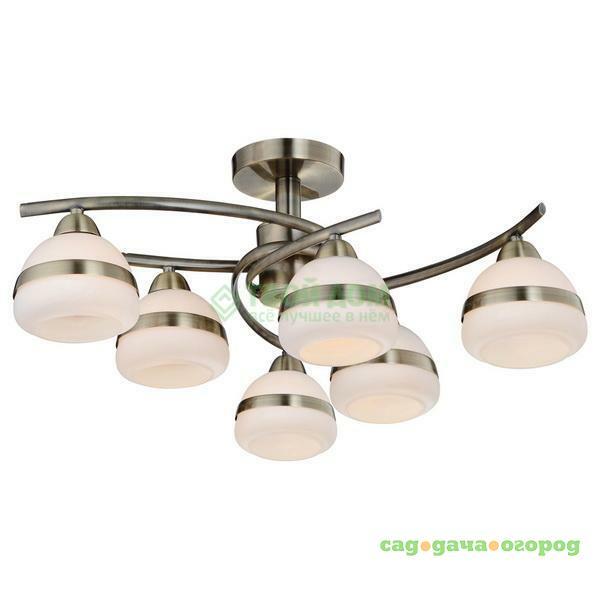 Фото Люстра потолочная IDLamp 861 6PF-Oldbronze (861/6PF-Oldbronze)