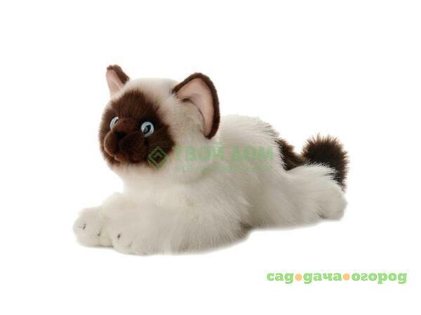 Фото Мягкая игрушка Aurora Кошка сиамская 30см, белый (61-822)