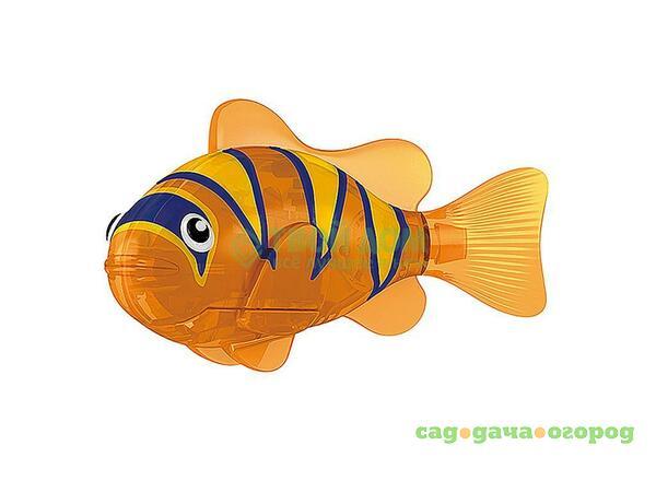 Фото Игрушка для купания Robofish Тропическая роборыбка бычок /оранжевая/