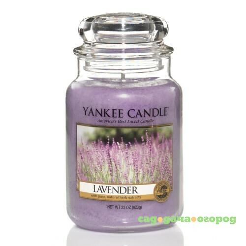 Фото Ароматическая свеча Yankee candle большая Лаванда 623 г