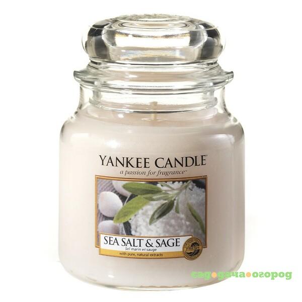 Фото Ароматическая свеча Yankee Candle Соль и шалфей (1507711E)