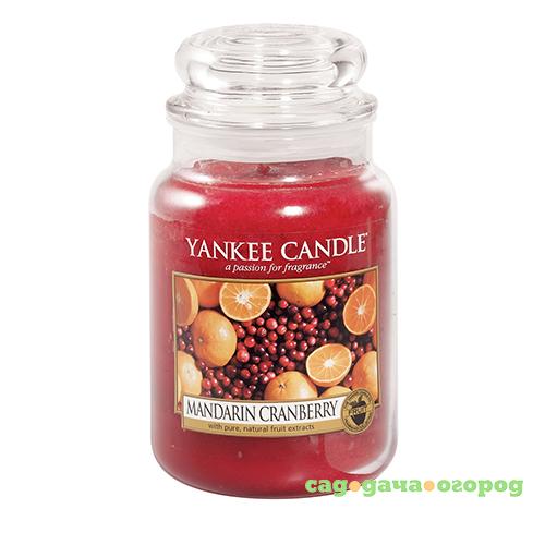 Фото Ароматическая свеча Yankee candle большая Мандарин и клюква 623 г