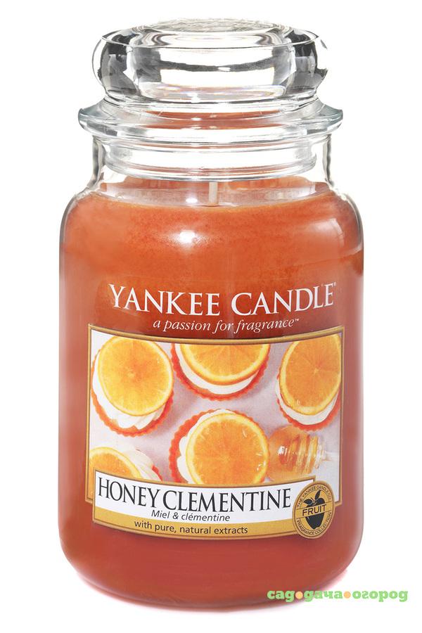 Фото Ароматическая свеча Yankee candle большая Мед и клементин 623 г