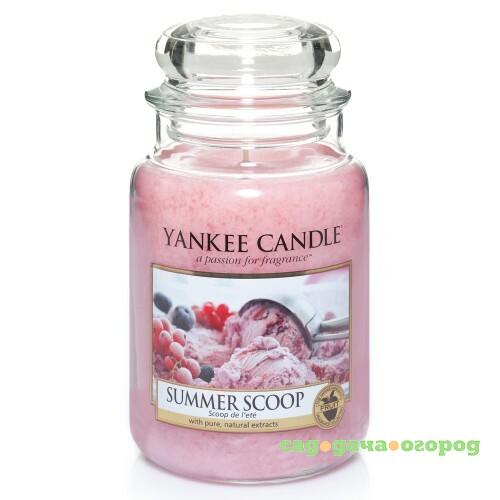 Фото Ароматическая свеча Yankee candle большая Летнее мороженое 623 г