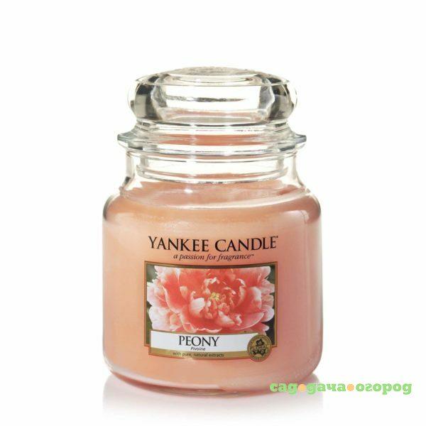 Фото Ароматическая свеча Yankee candle средняя Пион 411 г