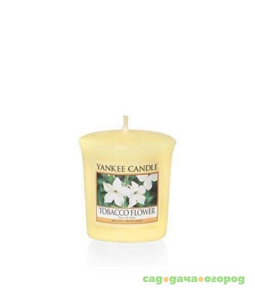 Фото Аромасвеча для подсвечника Yankee candle Цветок табака 49 г