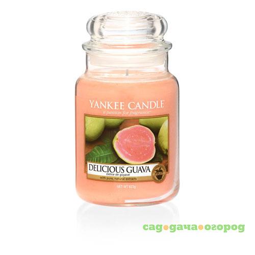 Фото Ароматическая свеча Yankee candle большая Ароматная гуава 623 г