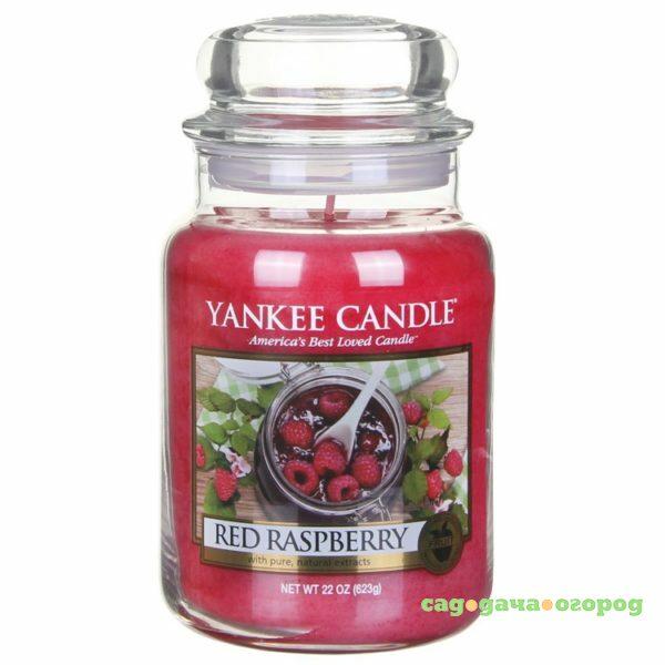 Фото Ароматическая свеча Yankee candle большая Красная малина 623 г